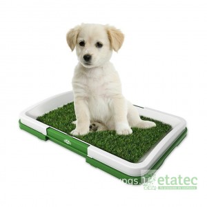 Baño Para Mascotas Puppy Potty Pad | Zetatec