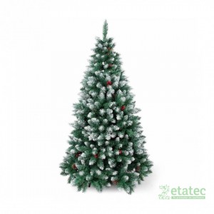 Árbol coposo de ciprés con frutos rojos y puntas blancas, altura aproximada 2-10 metros.