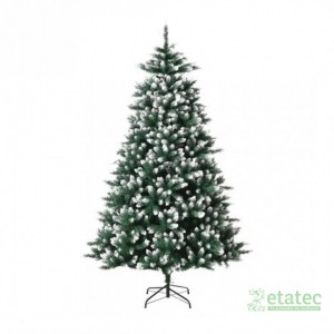 Árbol coposo de ciprés con frutos rojos y puntas blancas, altura aproximada 2-10 metros.