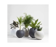 Jardín y aire libre