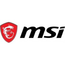 MSI