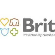 Brit